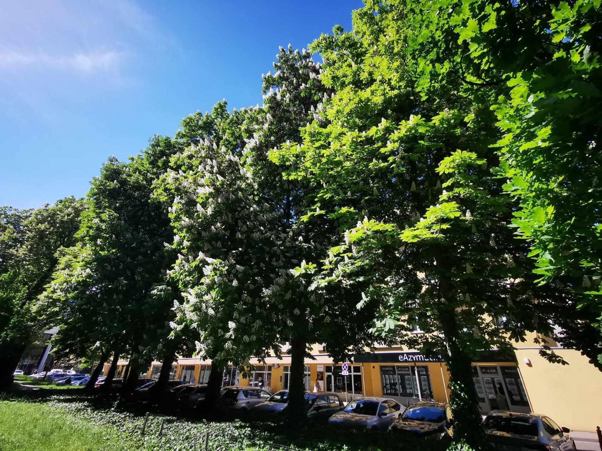 Corazziego Plac Bankowy Apartment 바르샤바 외부 사진